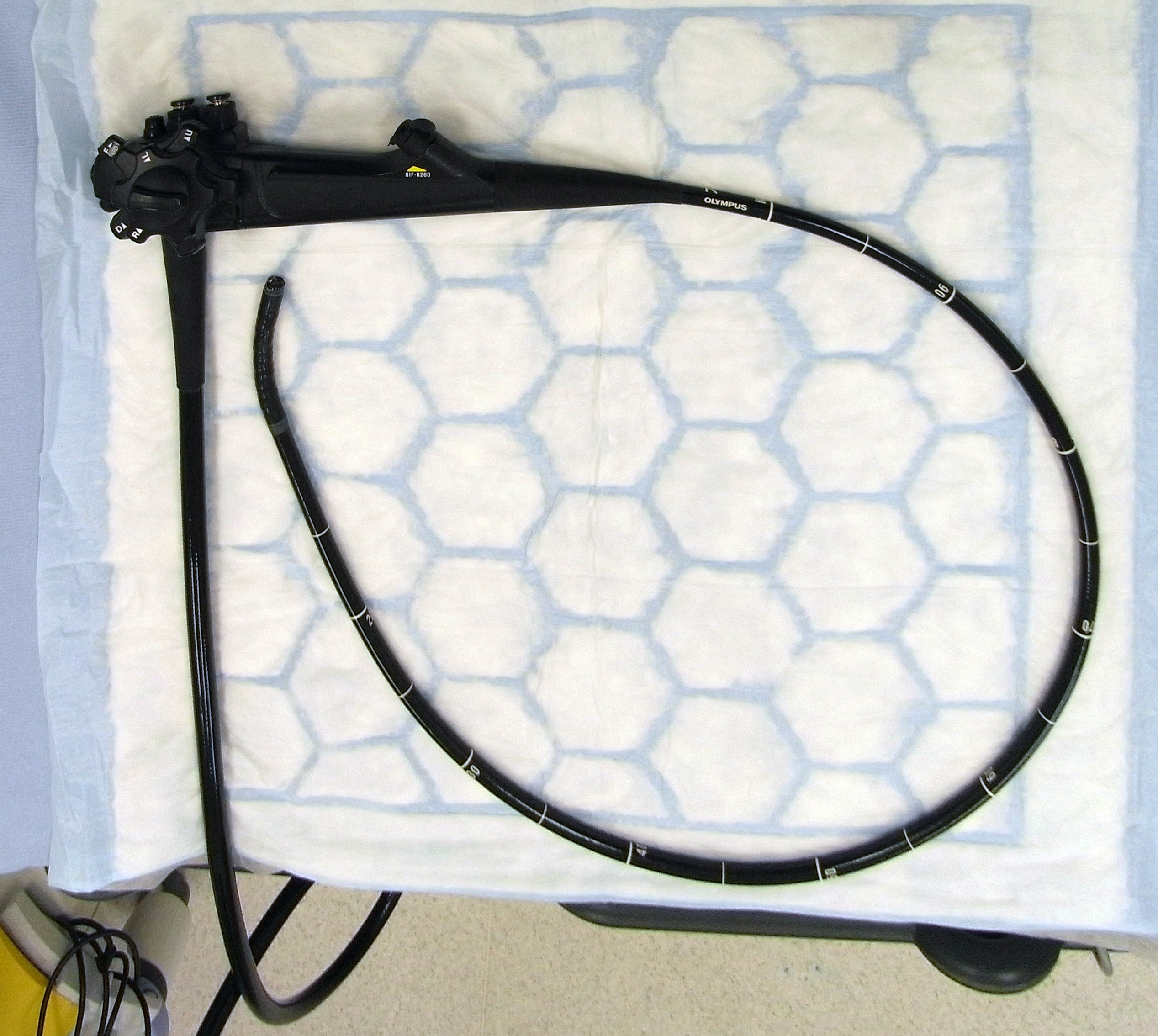 Endoscopio flexible para endoscopia intraoperatoria