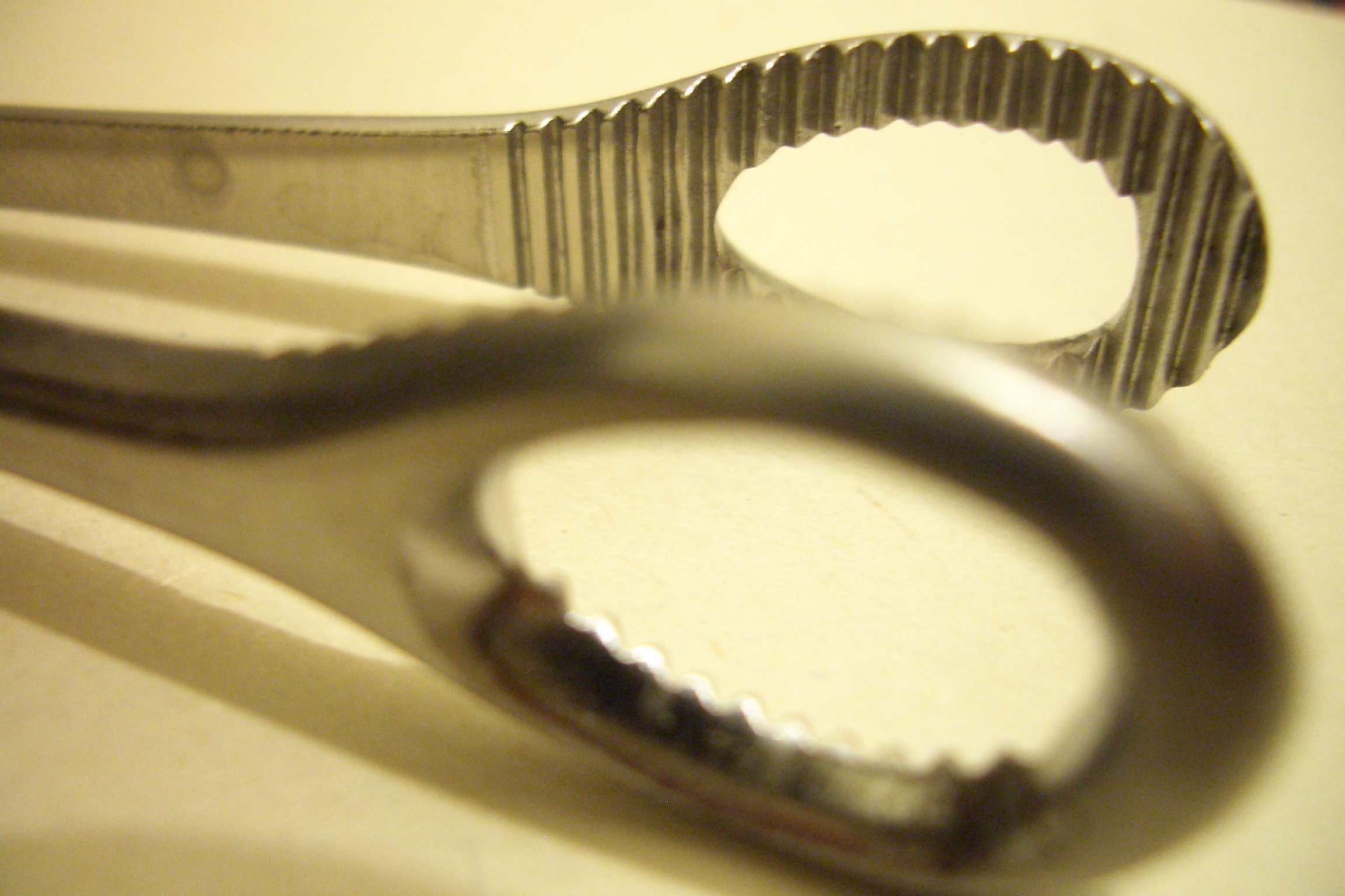 Pinza de anillos (Foerster)